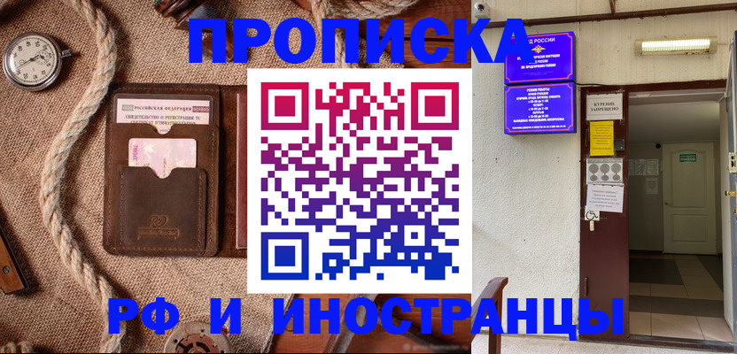 прописка в Камышине